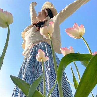 风流市长